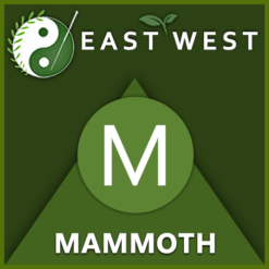 Mammoth Label