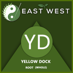 Yellow Dock Root Whole