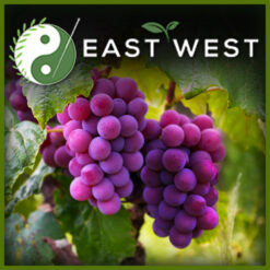 Grapeseed-label-2