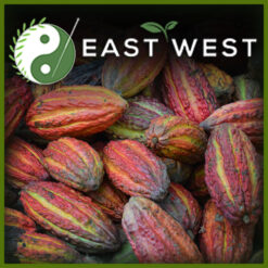 Cacao Bean Label 1