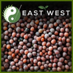 Mustard seed whole brown