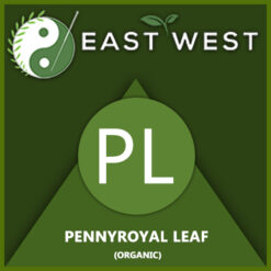 Pennyroyal Leaf