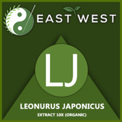 Leonurus japonicus Label 2