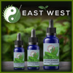 Peppermint Oil extract