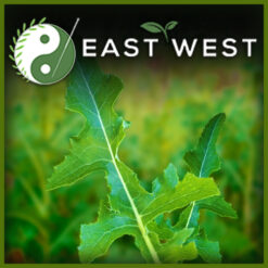 Wild Lettuce Leaf powder Label 1