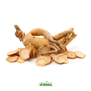 American Ginseng