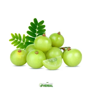 Amla Powder