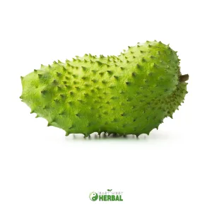 Soursop Powder & Capsules
